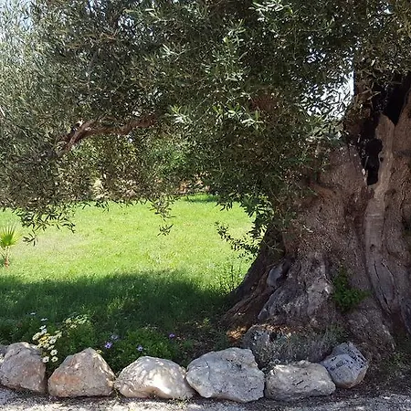 Via Lecce *